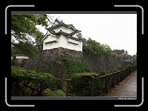 IMG_3202 * 900 x 644 * (291KB)