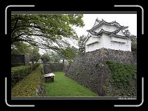 IMG_3206 * 900 x 644 * (290KB)