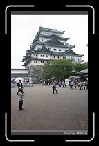 IMG_3210 * 600 x 966 * (297KB)