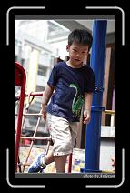 IMG_3290 * 600 x 966 * (285KB)
