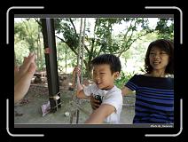 IMG_3388 * 900 x 644 * (296KB)