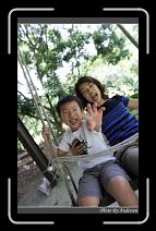 IMG_3396 * 600 x 966 * (300KB)