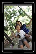 IMG_3399 * 600 x 966 * (296KB)