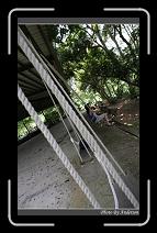 IMG_3411 * 600 x 966 * (289KB)