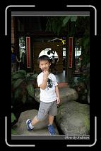 IMG_3418 * 600 x 966 * (300KB)