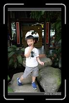 IMG_3419 * 600 x 966 * (277KB)
