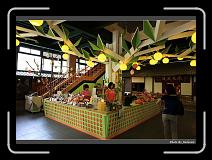IMG_3422 * 900 x 644 * (299KB)