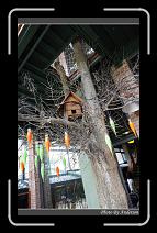 IMG_3445 * 600 x 966 * (299KB)