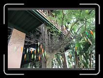 IMG_3446 * 900 x 644 * (296KB)