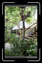 IMG_3448 * 600 x 966 * (294KB)