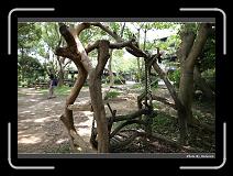 IMG_3451 * 900 x 644 * (287KB)