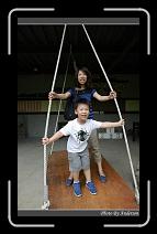 IMG_3485 * 600 x 966 * (293KB)