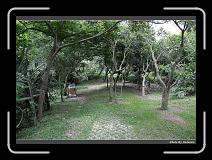 IMG_3486 * 900 x 644 * (292KB)