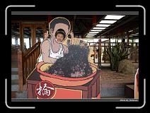 IMG_3514 * 900 x 644 * (282KB)