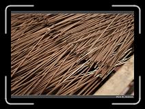 IMG_3519 * 900 x 644 * (290KB)