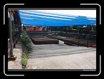 IMG_3676 * 900 x 644 * (300KB)