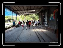 IMG_3687 * 900 x 644 * (292KB)