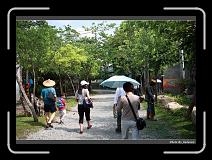 IMG_3688 * 900 x 644 * (296KB)