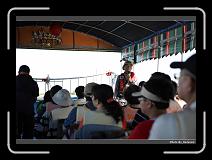 IMG_3740 * 900 x 644 * (287KB)