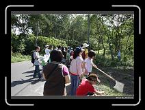 IMG_3745 * 900 x 644 * (300KB)