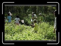 IMG_3750 * 900 x 644 * (296KB)