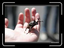IMG_3753 * 900 x 644 * (271KB)