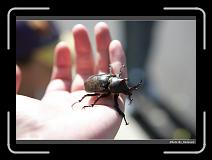 IMG_3754 * 900 x 644 * (260KB)