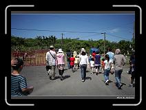 IMG_3762 * 900 x 644 * (288KB)