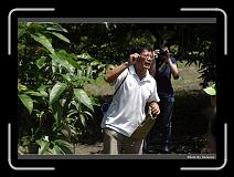 IMG_3764 * 900 x 644 * (288KB)