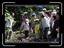 IMG_3766 * 900 x 644 * (288KB)