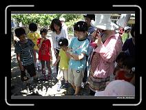 IMG_3790 * 900 x 644 * (291KB)