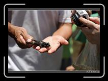 IMG_3802 * 900 x 644 * (295KB)