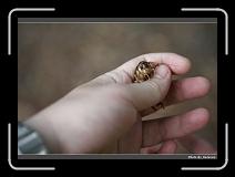 IMG_3813 * 900 x 644 * (229KB)
