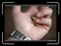 IMG_3815 * 900 x 644 * (239KB)