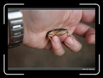IMG_3818 * 900 x 644 * (219KB)