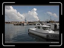 IMG_3895 * 900 x 644 * (296KB)