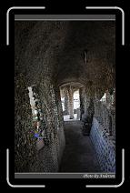 IMG_3972 * 600 x 966 * (299KB)
