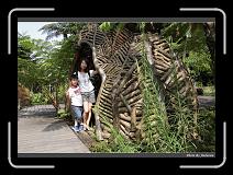 IMG_4418 * 900 x 644 * (294KB)