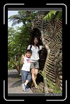 IMG_4422 * 600 x 966 * (298KB)