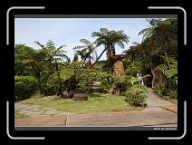 IMG_4423 * 900 x 644 * (283KB)