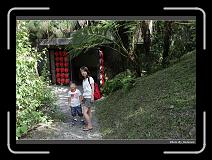 IMG_4458 * 900 x 644 * (298KB)