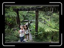 IMG_4528 * 900 x 644 * (292KB)