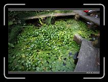 IMG_4529 * 900 x 644 * (299KB)