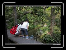 IMG_4530 * 900 x 644 * (287KB)