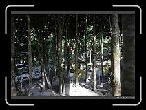 IMG_4532 * 900 x 644 * (287KB)
