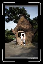 IMG_4534 * 600 x 966 * (282KB)