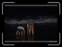 IMG_4636 * 900 x 644 * (253KB)