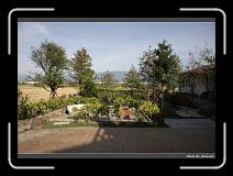 IMG_4643 * 900 x 644 * (300KB)