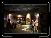 IMG_4676 * 900 x 644 * (291KB)