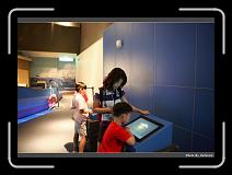 IMG_4678 * 900 x 644 * (262KB)